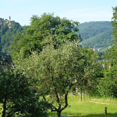 Feriendomizil Im Plantert Traben-Trarbach Exterior foto