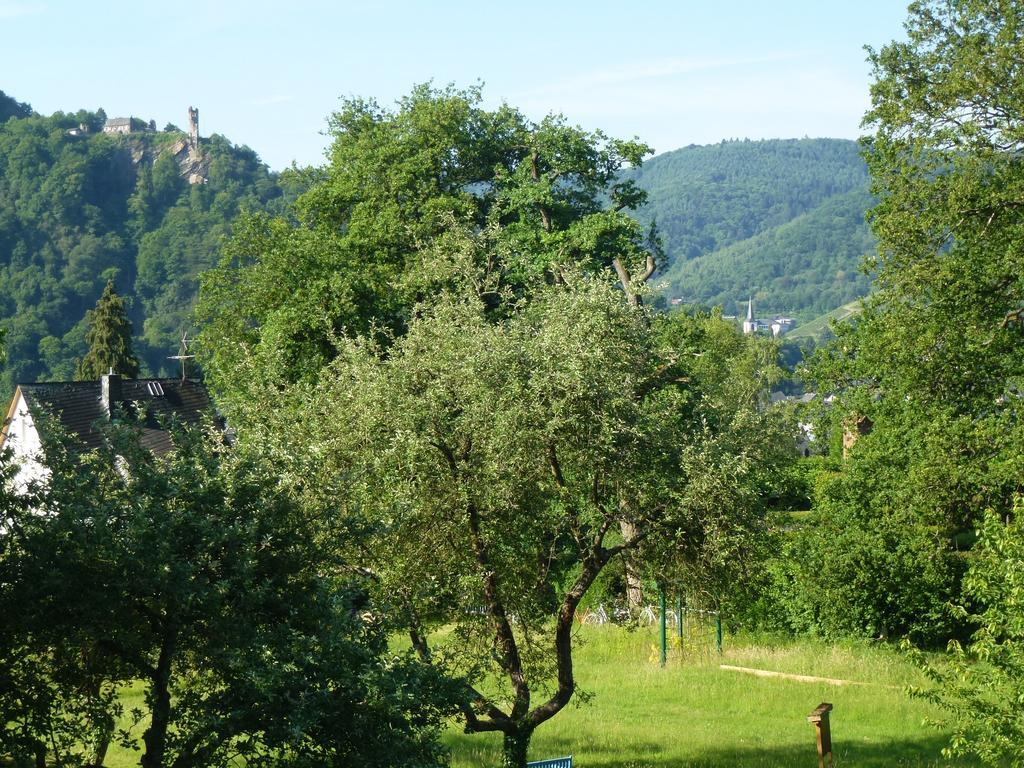 Feriendomizil Im Plantert Traben-Trarbach Exterior foto
